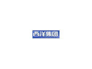 西洋集團(tuán)