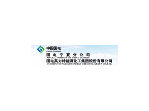 國(guó)電英力特能源化工集團(tuán)股份
